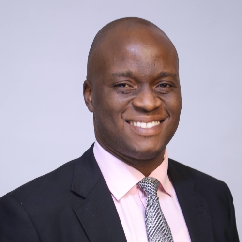 Professor Nkemdilim Iheanachor